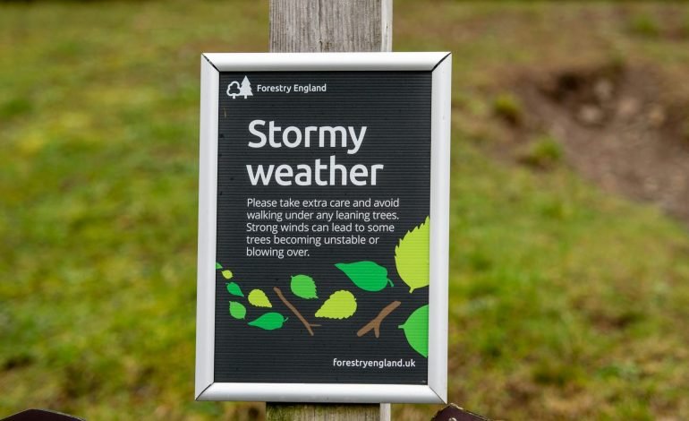 sign on post from forestry england warning of stormy weather such as storm floris