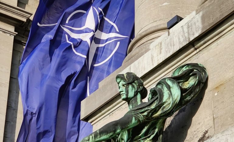 statue in belgium with nato flag behind it