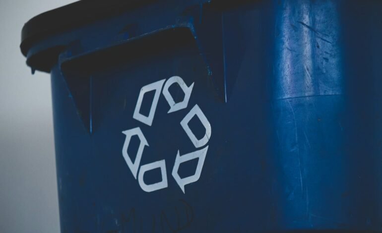 Waste and recycling collections for summer bank holiday in Richmond