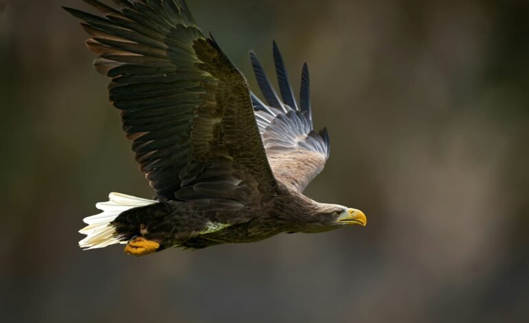 phil robson pO6vI9aldP8 unsplash (1)