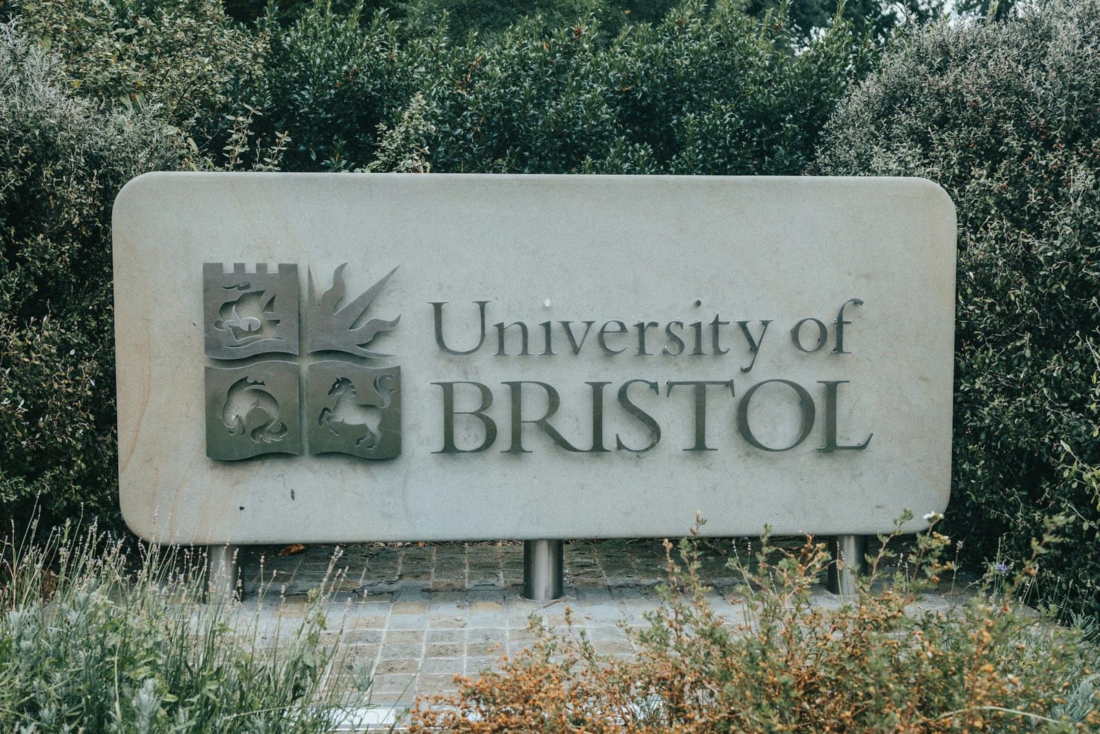 Tuition fees could be linked to teaching quality