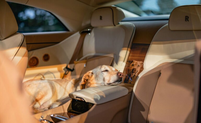 Spectre Bailey pays tribute to Rolls-Royce owner’s dog