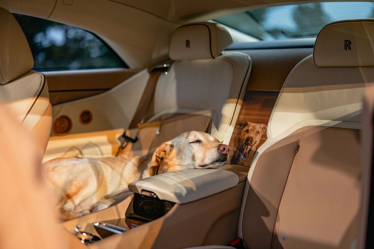Spectre Bailey pays tribute to Rolls-Royce owner’s dog