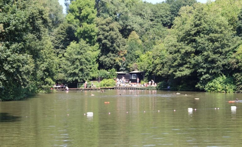 Who swims where at Hampstead Heath? City launches public consultation on bathing ponds access