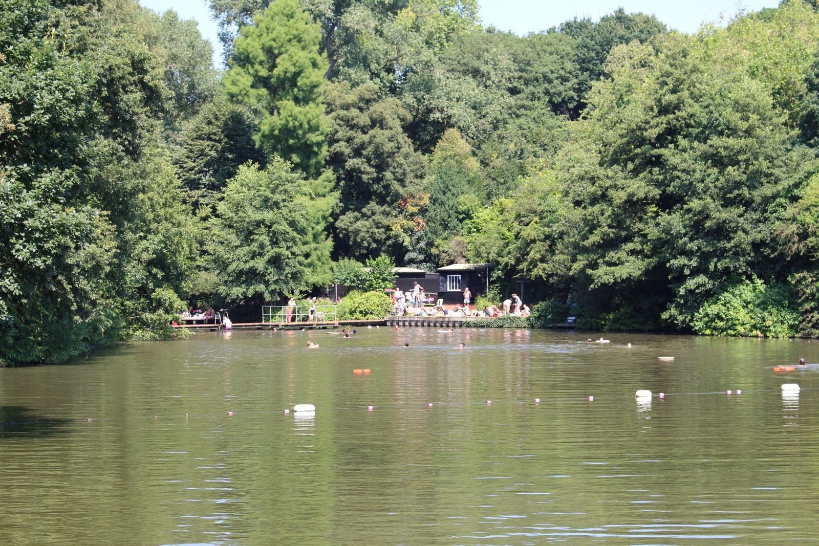 Who swims where at Hampstead Heath? City launches public consultation on bathing ponds access