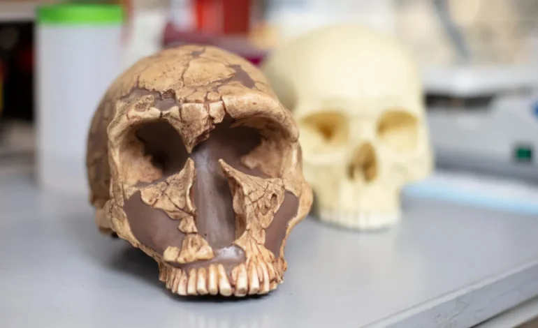 How Lead Exposure Shaped Human Intelligence: The Ancient Toxin That Defined Our Evolution