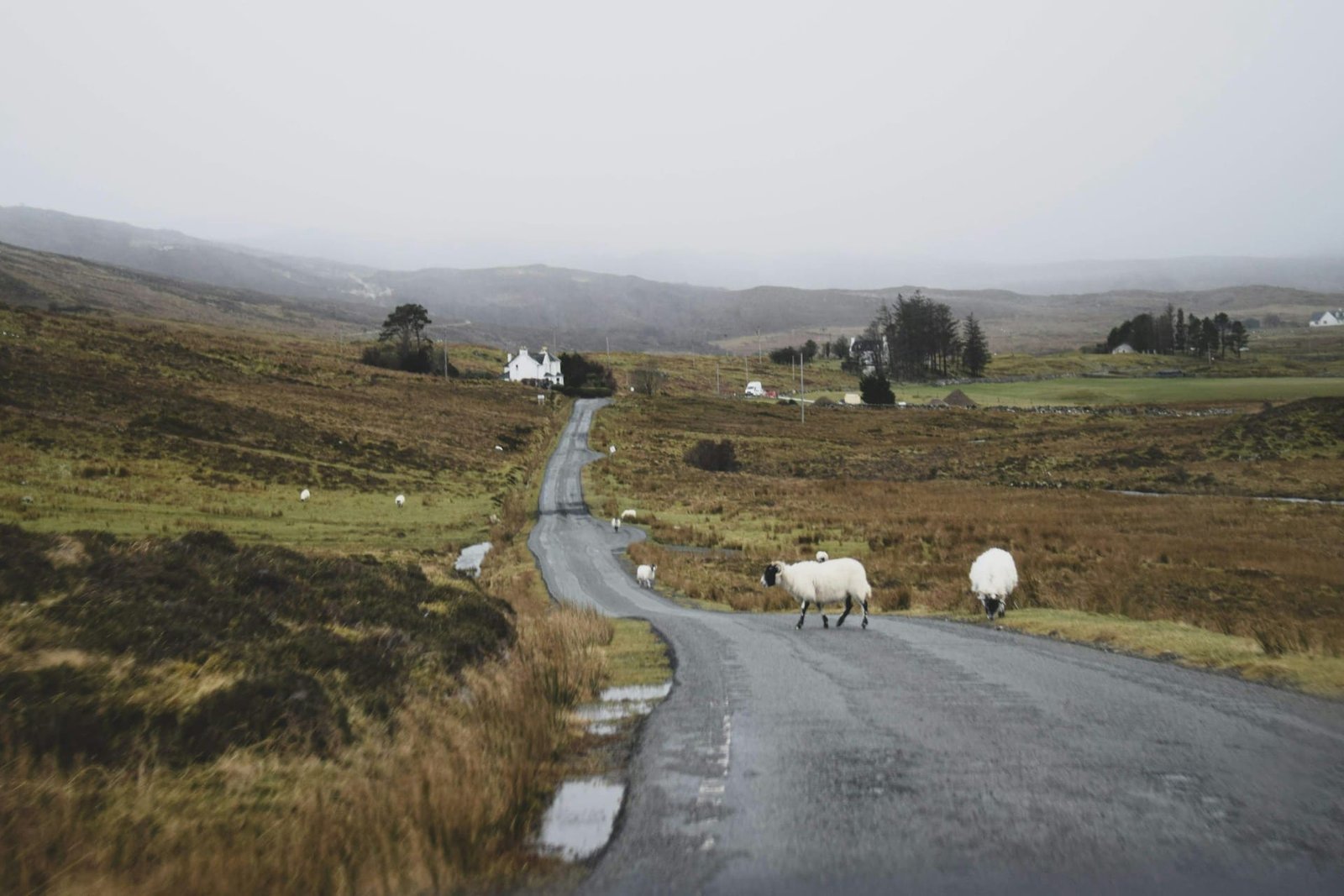 eleanor brooke gJTLXik0VA unsplash