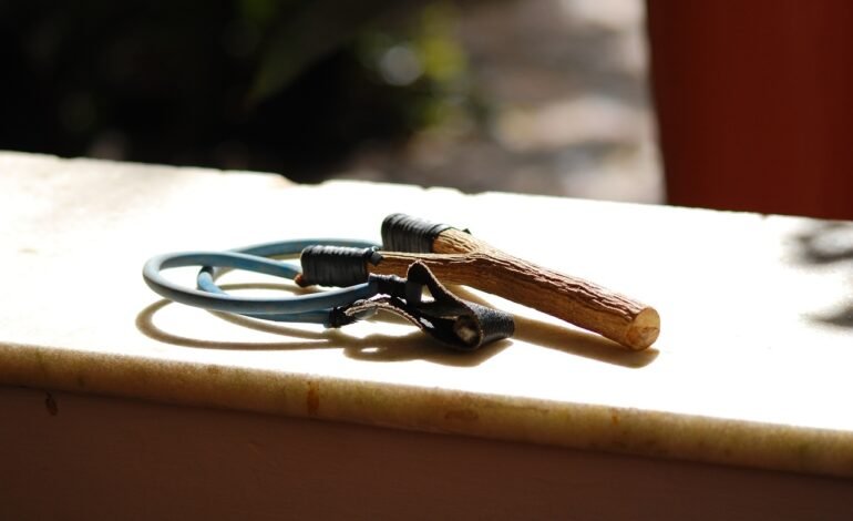 Catapults sold to under-18s should be banned, campaigners say