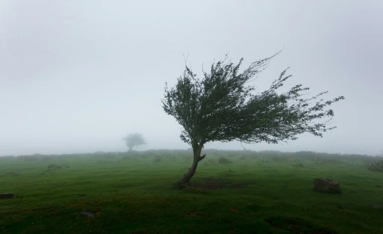 khamkeo WtwSsqwYlA0 unsplash (1)