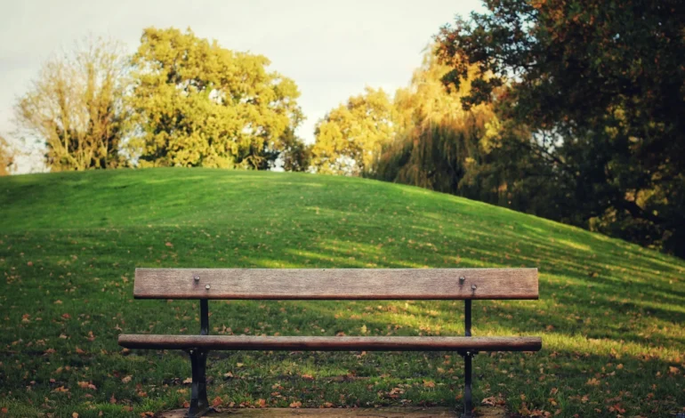 Parks Satisfaction Survey: have your say by 30 November