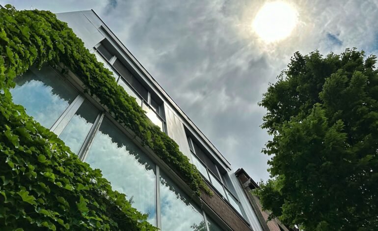Green legislation should be reduced, US tells EU