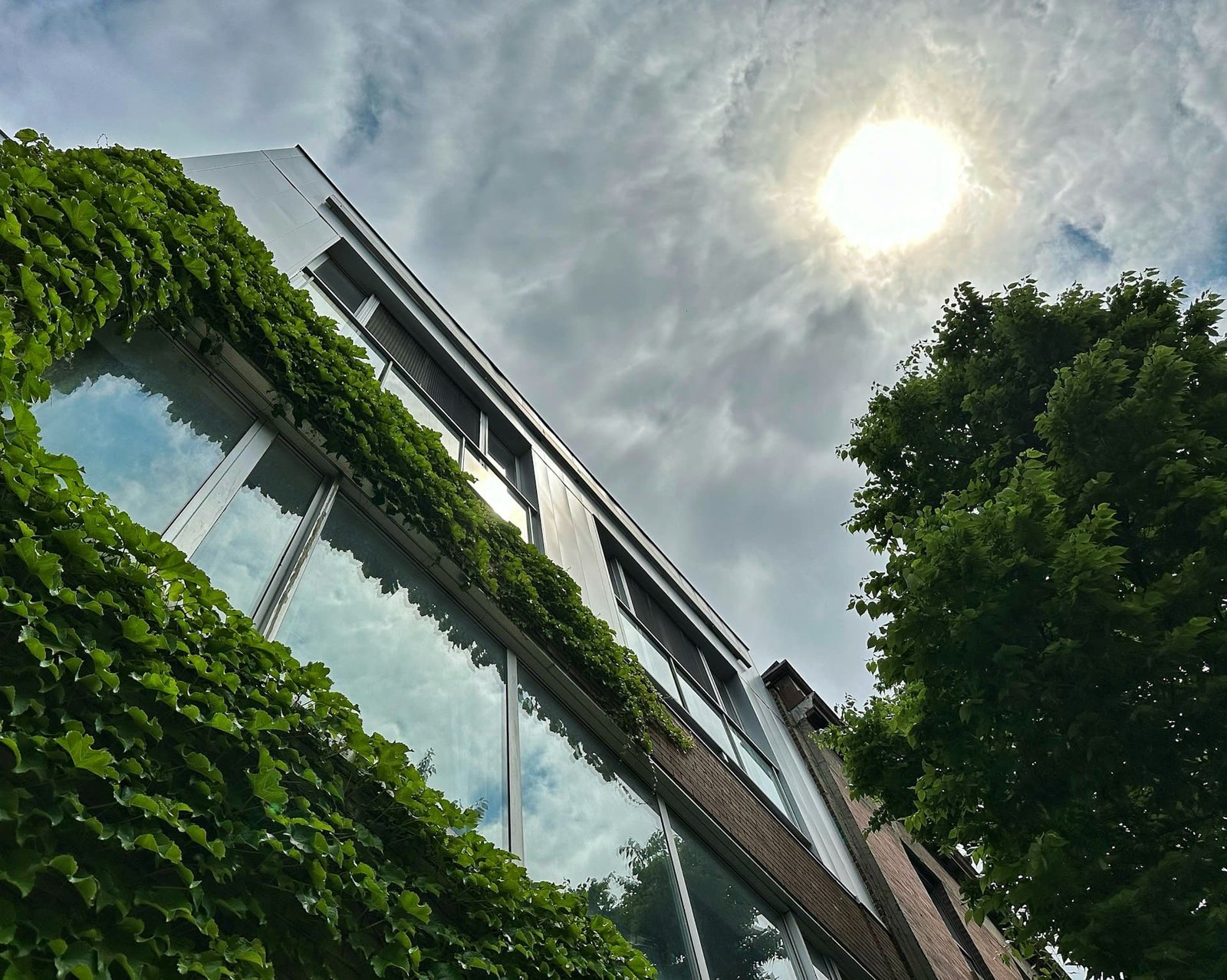 Green legislation should be reduced, US tells EU