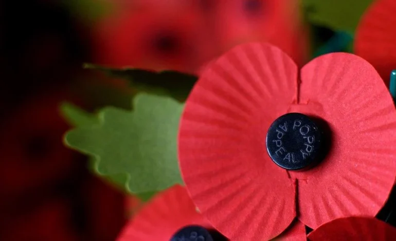Close up of a red paper poppy used in the Poppy Appeal 2025, symbolising remembrance and hope across London.