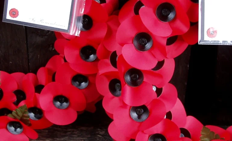 Remembrance Sunday weather forecast with poppy wreaths laid in tribute across London