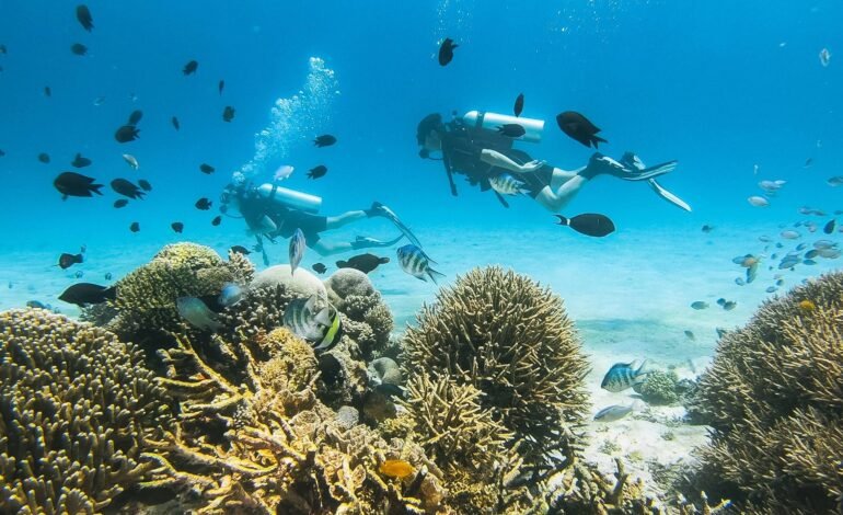 The Holidays Where You Come Home With More Than a Tan