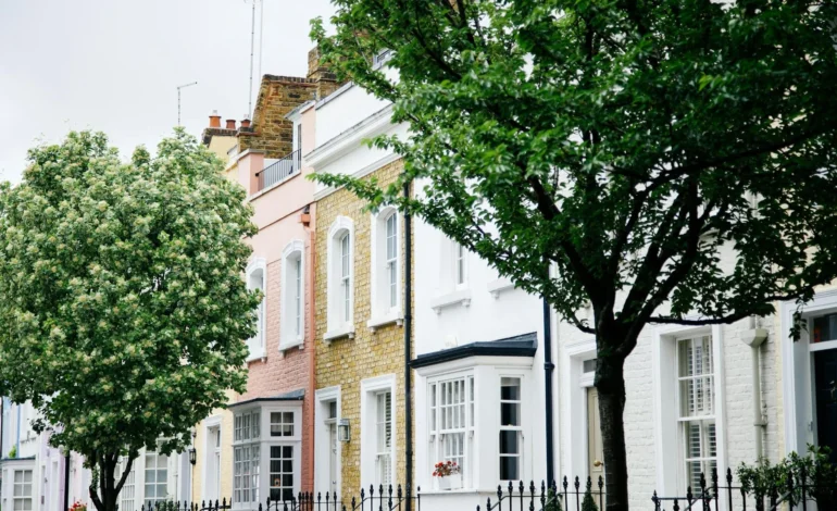 anthony delanoix tsS12Ul5QJA unsplash (1)