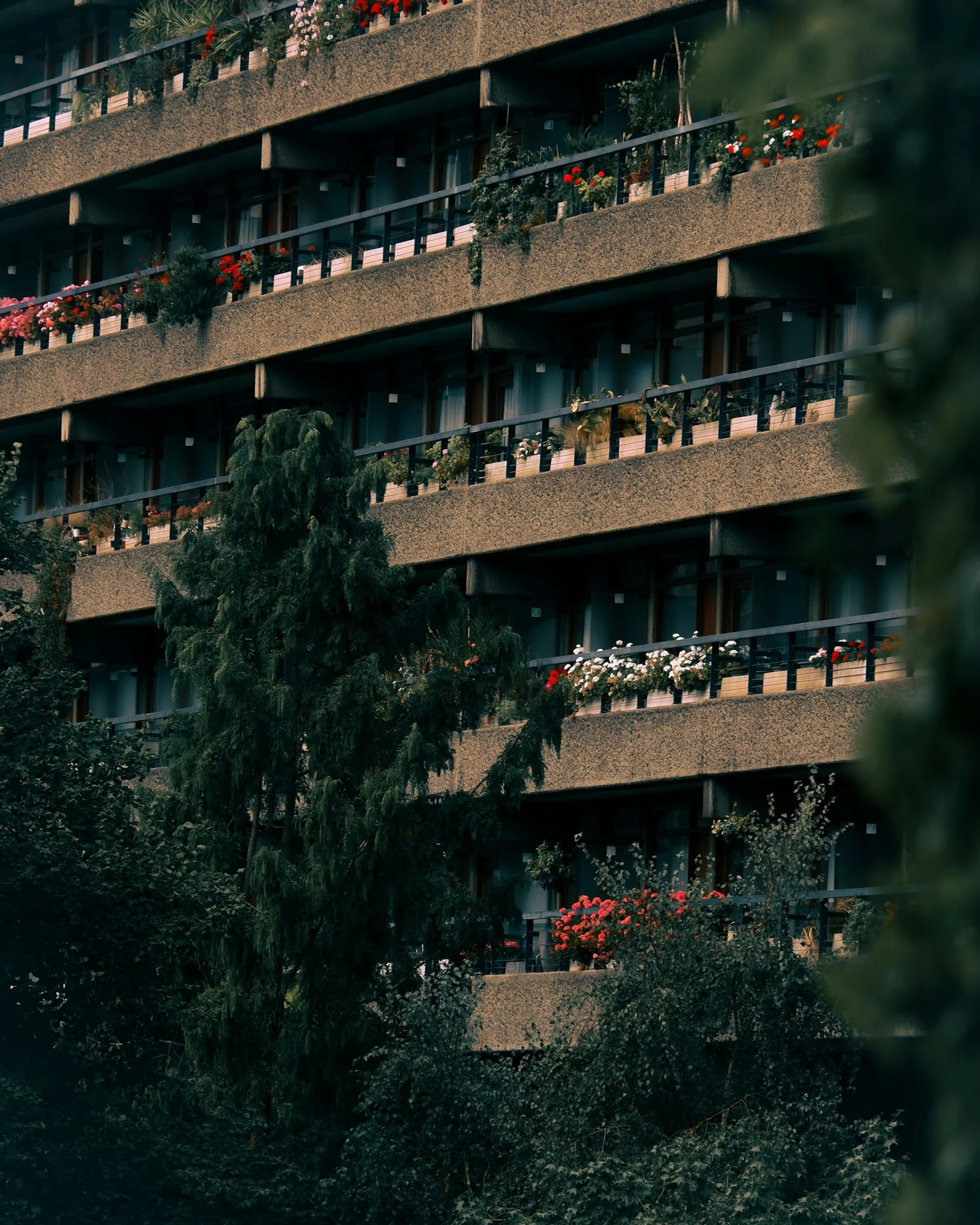 Affordable housing quotas should not be cut, Labour MPs say