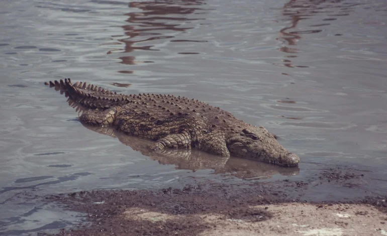 jonathan francisca eTCpI7dB9oQ unsplash (1)