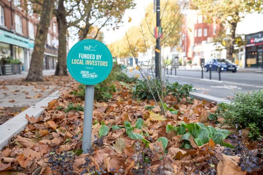 Rain gardens to tackle floods in King Street