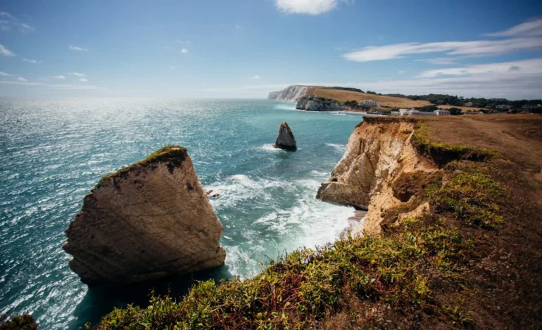 Wolf spider rediscovered on Isle of Wight after 40 years