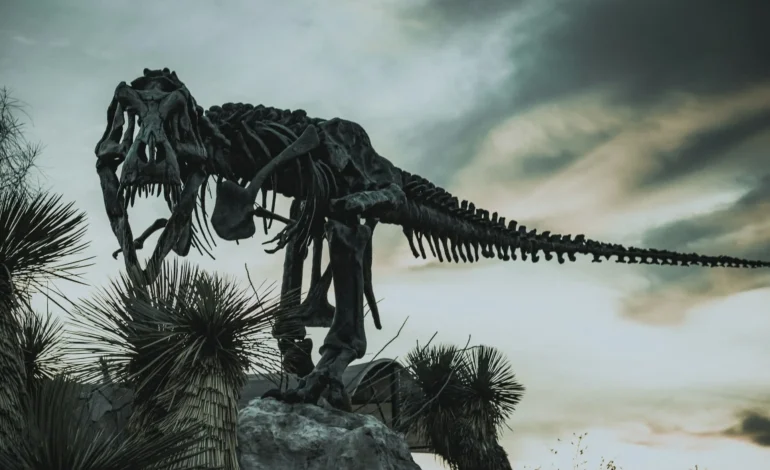 mac cervantes vaoV1sd3Gc8 unsplash (1)