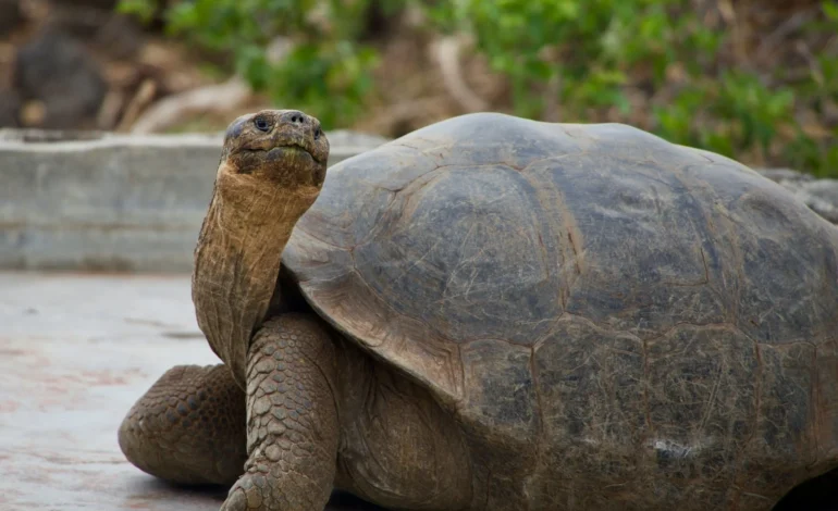 magdalena kula manchee 7xX3AVptAQI unsplash (1)