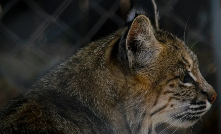 michael tiny alcorn tinyonstage sG8bjOdK03E unsplash (1)