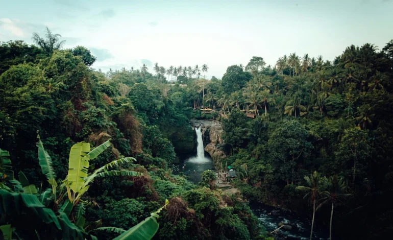 nate johnston BW9bM5UoLk4 unsplash (1)