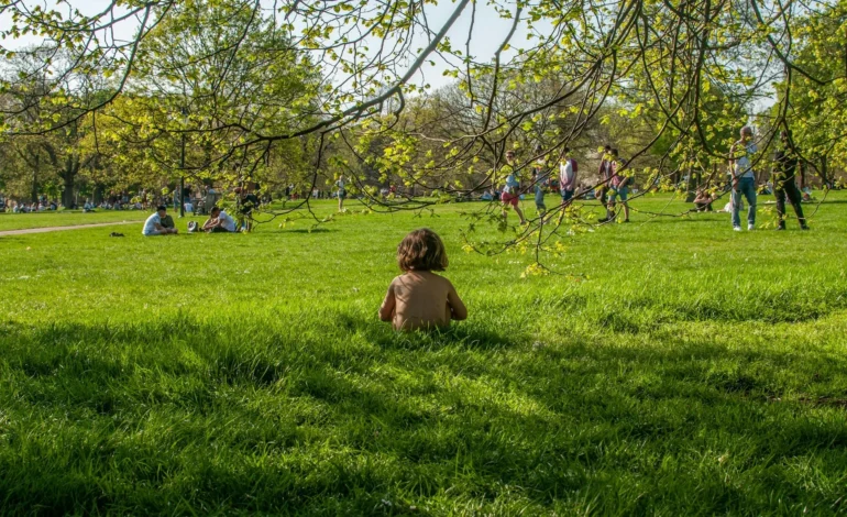 neil de souza mkQSV3xQ0zw unsplash (1)