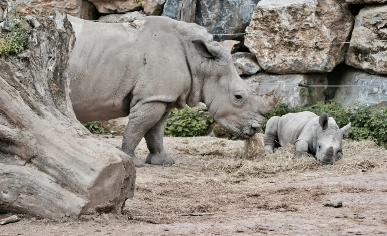 sarah stockman 0vWuVa0hLko unsplash (1)