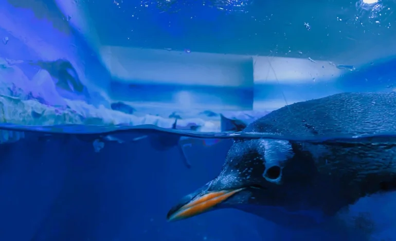 sid balachandran jV7v7S kmes unsplash (1)