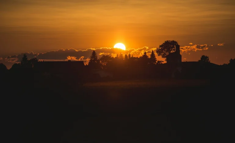 timon studler 1xJ3qTjAJU8 unsplash