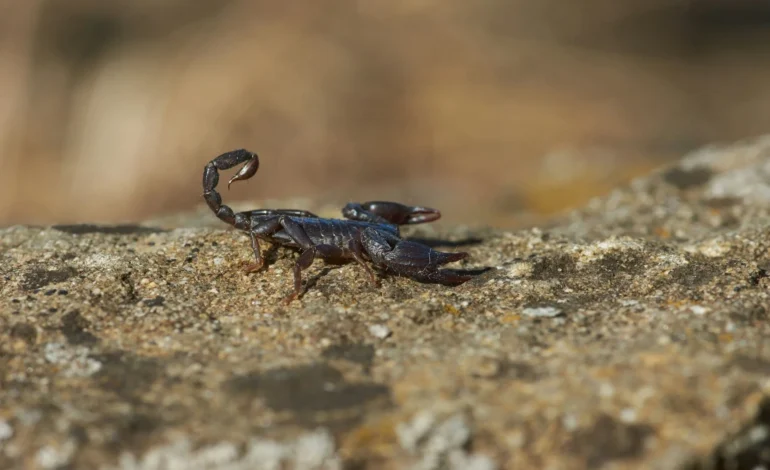 wolfgang hasselmann GckK1uwHtgM unsplash (1)