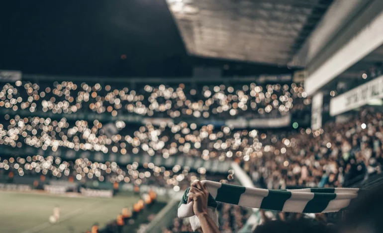 emerson vieira V6kZMhjWveo unsplash (1)