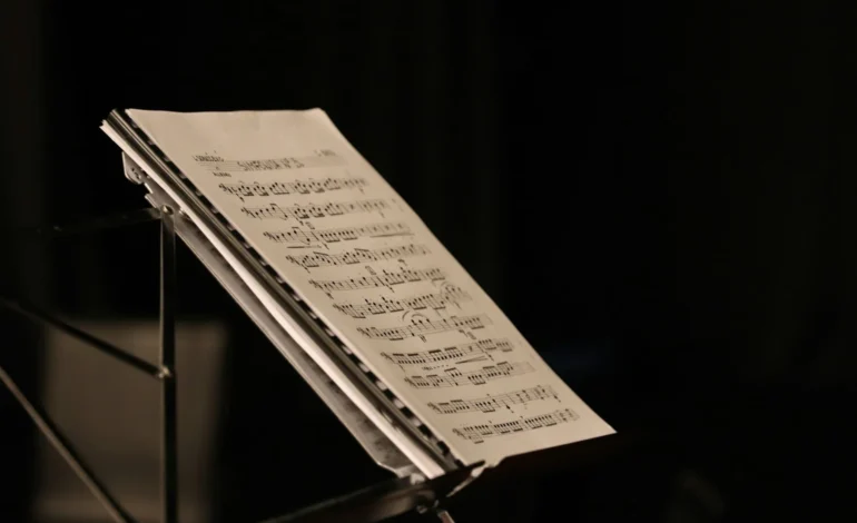 ivona roz Bv dp1ZrojU unsplash (1)