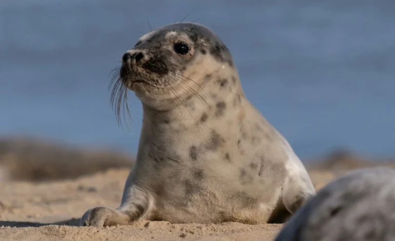 semyon borisov 378jqqEDC1M unsplash (1) (1)