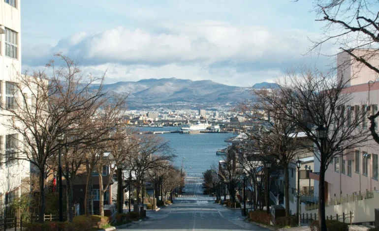 tomo m x8JrdiPkjuI unsplash (2)