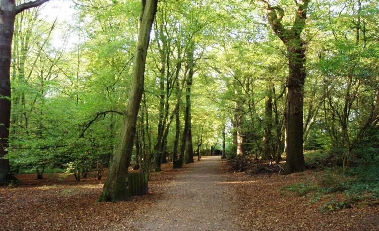 A familiar face returns to the woods as Highgate Wood café secures new lease