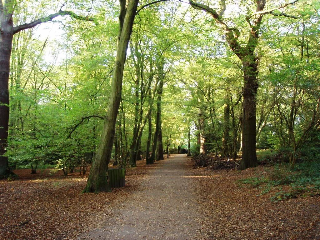 A familiar face returns to the woods as Highgate Wood café secures new lease