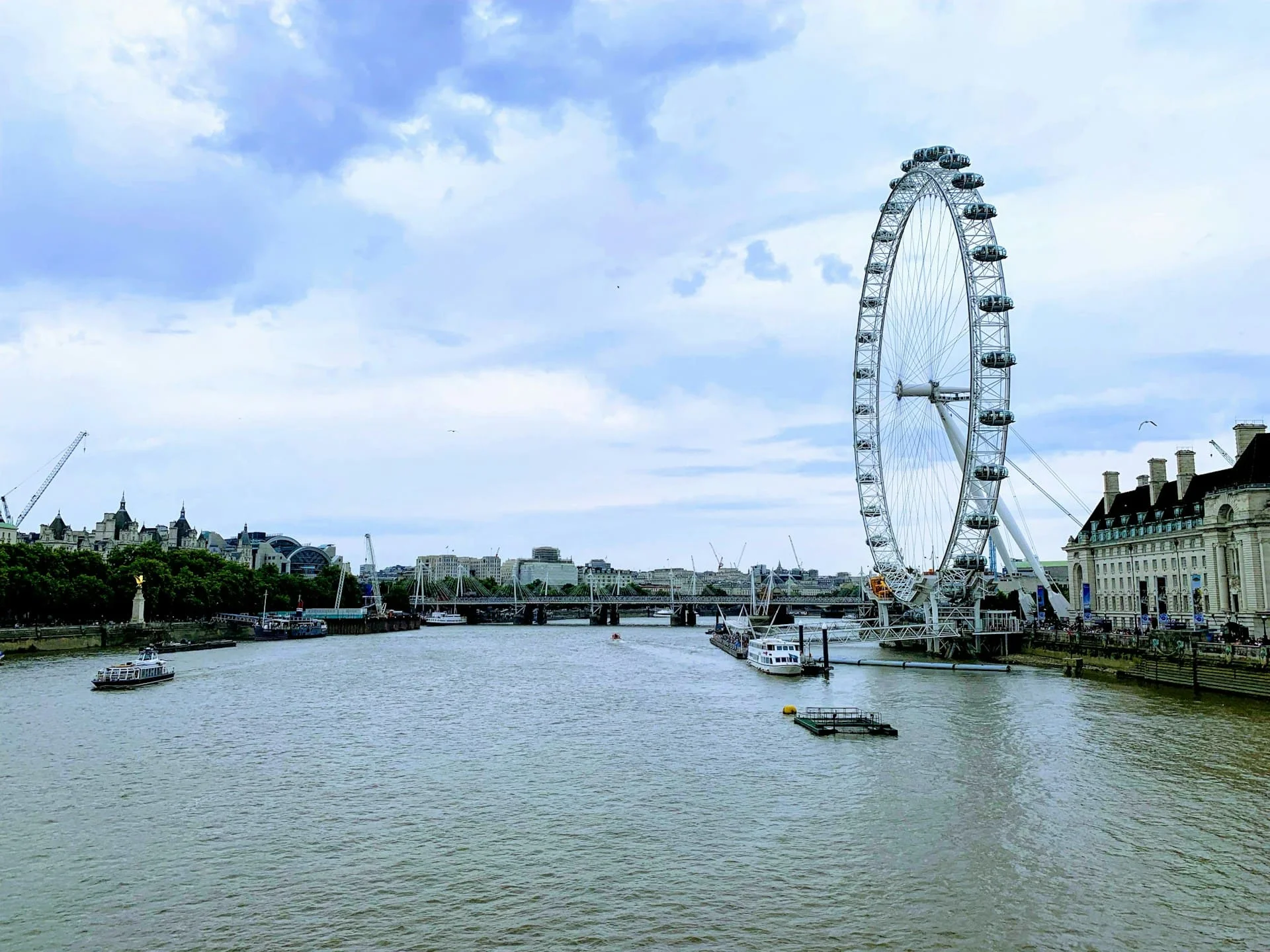 ZSL report celebrates Thames cleanup