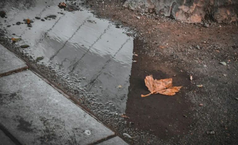 elliott XxwCvrBEe6U unsplash (1)