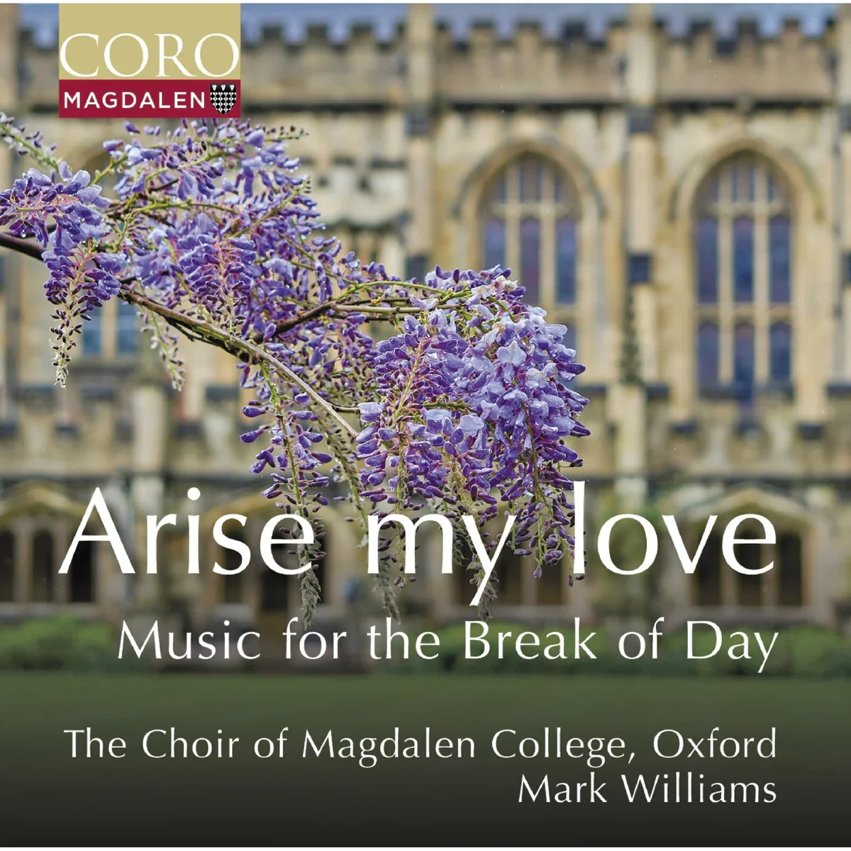 Album cover for Arise My Love: Music for the break of day