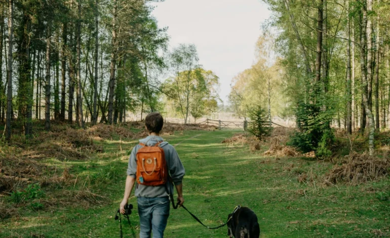 annie spratt Jff3ceZZTrY unsplash (1)