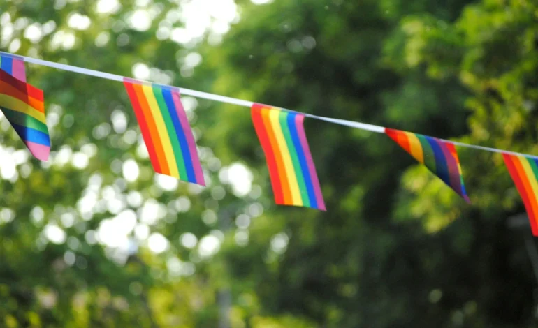 delia giandeini TpE2z9gZhkU unsplash