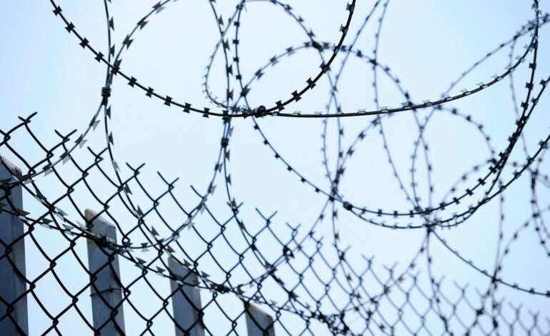 engin akyurt XJp8R7wimhg unsplash