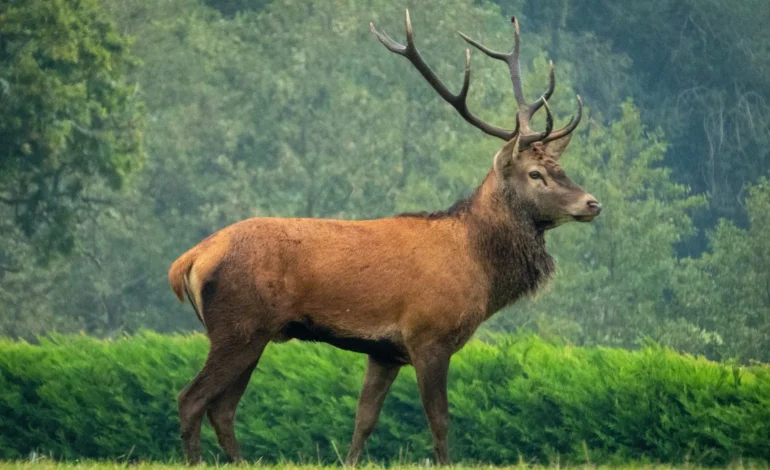 webpnick fewings c4WBrQGR5q0 unsplash