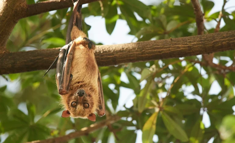 webpnils bouillard ztyLXIUYYho unsplash