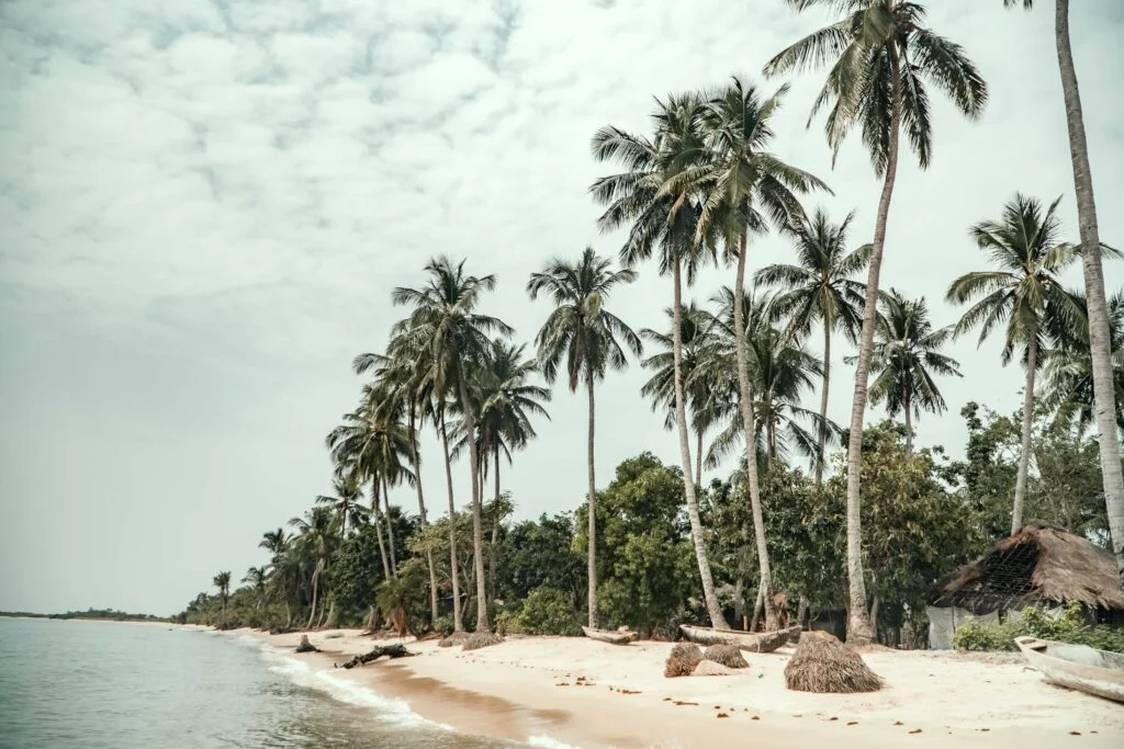 Idris Elba Sherbro Island eco city coastal landscape with palm trees and shoreline (1)