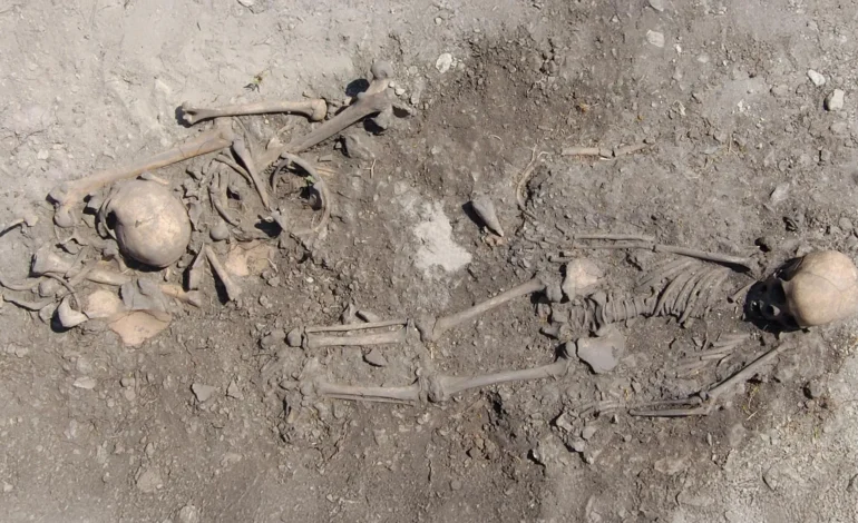 Stone Age family burials at Ajvide archaeological site on Gotland showing multiple skeletons in a shared grave