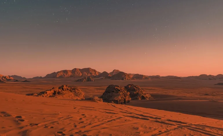 daniele colucci OtXJhYjbKeg unsplash